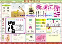 新濠江赌经A